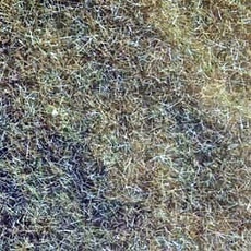 Wildgras-Foliage, beige, 24 x 15 cm